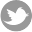 twitticon